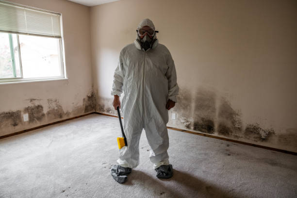 Best Commercial Mold Removal  in Clyde, NC